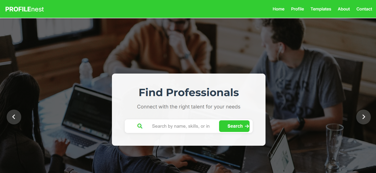ProfileNest — Professional Profile Builder project preview